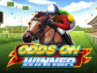 Odds On Winner game icon